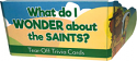 What Do I Wonder About The Saints? - Tear-Off Trivia Card Pack
